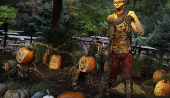 VIDEO. Cei mai înspăimântători ZOMBIE sculptați 100% din dovleci GIGANT! - zombiedindovleac3-1351157637.jpg