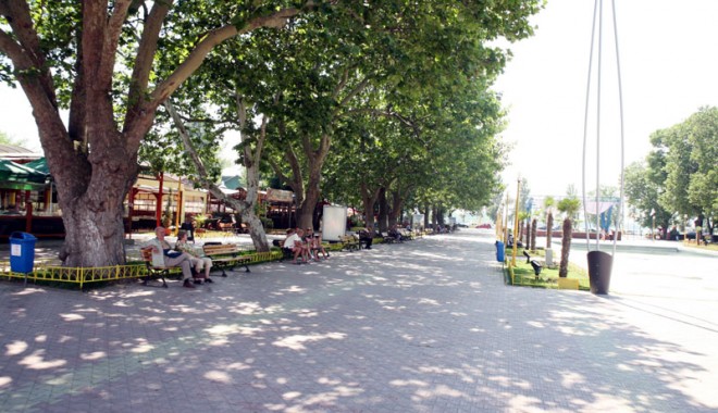 Invazie de libelule pe litoral - zonacazinomamaia6-1308323741.jpg