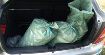 Stire din Eveniment : Peste 70 kg pește fără documente legale, confiscate de polițiștii de frontieră
