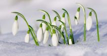 Stire din Social : PROGNOZA METEO PE DOUĂ SĂPTĂMÂNI / ÎN SFÂRȘIT PRIMĂVARĂ! Ce temperaturi vom avea și când vin ploile