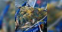 Stire din Eveniment : Plase cu peste 100 de kilograme de pește, depistate în Deltă