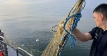 Stire din Eveniment : Cinci sturioni salvați din plase ilegale descoperite în Marea Neagră