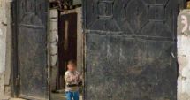 Stire din Eveniment : Care este starea de sănătate a copilului care a fost atacat de câini, la Medgidia