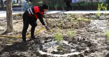 Stire din Politică-Administrație : Primăria Constanța continuă regenerarea urbană pe aleea Hortensiei