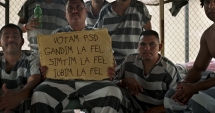 Stire din Eveniment : Sugestii pentru Dragnea pentru modificarea Codului Penal
