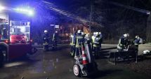 Stire din Actualitate : Dezastru la zoo! Zeci de maimuțe ucise într-un incendiu
