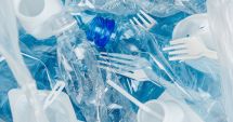 Stire din Social : ADEVĂRUL CRUNT: ingerăm 5 grame de PLASTIC pe săptămână!