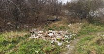 Stire din Social : Stadionul de rugby de pe strada Badea Cârțan, devenit din nou groapă de gunoi