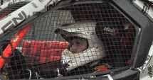 Stire din Sport : Automobilism / Pilot din România, antrenamente sub îndrumarea vicecampionului mondial de raliuri Thierry Neuville