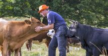 Stire din Economie : APIA eliberează adeverinţe pentru crescătorii de animale care vor să acceseze credite