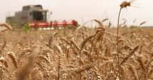 Stire din Economie : Măsuri de sprijin de urgenţă! Producătorii agricoli de cereale pot depune cereri de finanţare, la APIA, până pe 11 mai
