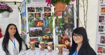 Stire din Economie : Afaceri cu migdali! Două noi soiuri, create la Staţiunea de Cercetare-Dezvoltare pentru Pomicultură Constanţa