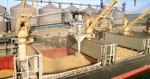 Stire din Economie : Restricţiile pentru importurile de cereale din Ucraina, prelungite până pe 15 septembrie