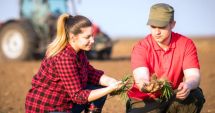 Stire din Economie : Energie, agricultură, comerţ. INFO economic
