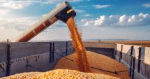 Stire din Actualitate : Lituania propune utilizarea capacităţilor statelor baltice pentru a sprijini exporturile de cereale ucrainene