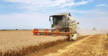 Stire din Economie : Prognoză, agricultură, aviaţie. INFO economic
