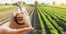 Stire din Economie : Conducerea AFIR reacţionează după ce Federaţia Naţională a Lucrătorilor i-a solicitat demiterea