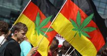 Stire din Actualitate : Guvernul german dă undă verde legalizării canabisului în scop recreativ