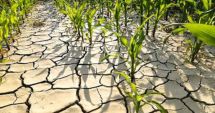 Stire din Economie : Finanţe, agricultură, energie. INFO economic
