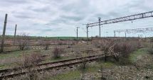 Stire din Economie : CFR: Cinci oferte pentru modernizarea infrastructurii din staţia Valu lui Traian