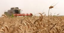 Stire din Economie : AFIR primeşte solicitări de finanţare pentru decontarea primelor de asigurare a culturilor, animalelor şi plantelor
