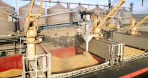 Stire din Economie : Agricultură: Importurile de cereale din Ucraina şi Republica Moldova, posibile doar pe bază de licenţă