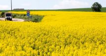 Stire din Economie : Investiţii, agricultură, finanţe. INFO economic