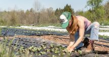 Stire din Economie : Aproximativ 100 de fermieri, înscrişi în cea de-a V-a serie a programului „Tineri Lideri pentru Agricultură”