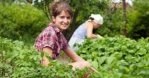 Stire din Economie : Agricultură: Peste 250 milioane euro, disponibile pentru instalarea tinerilor fermieri