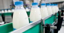 Stire din Economie : Investiţii, industrie alimentară, energie. INFO economic
