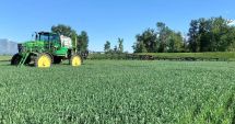 Stire din Economie : S-a ajuns la milionul de euro! Preţuri exorbitante pe piaţa terenurilor agricole din Constanţa