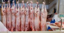 Stire din Economie : Plafonarea adaosului comercial pentru alimentele de bază ar putea fi prelungită şi după 31 ianuarie