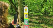 Stire din Economie : Secretele pădurii! Un traseu educativ va fi inaugurat, anul acesta, în judeţul Constanţa