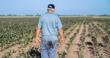 Stire din Economie : Fermierii constănţeni afectaţi de secetă pot beneficia de suspendarea ratelor la credite