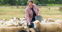 Stire din Economie : Buget de 228 de milioane de lei alocat crescătorilor de animale, în 2024