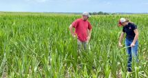 Stire din Economie : Plăţi către fermieri în valoare de peste 129 milioane de lei, autorizate de APIA până pe 4 martie