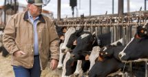 Stire din Economie : APIA a demarat autorizarea la plată a fermierilor care au solicitat Ajutoarele Naţionale Tranzitorii - specia bovine