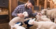 Stire din Economie : Fermierii pot depune până pe 7 iunie cererea de plată pentru Campania 2024