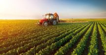 Stire din Economie : "Băieţi deştepţi" şi în agricultură! "Nu-i de mirare că mulţi fermieri riscă să ajungă la faliment"