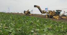 Stire din Economie : Registrul Comerţului, agricultură, infrastructură feroviară. INFO economic