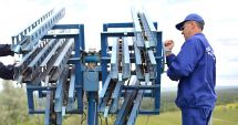 Stire din Economie : Banking, agricultură, masă lemnoasă recoltată. INFO economic
