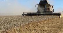 Stire din Economie : Investiţii, agricultură, asigurări. INFO economic