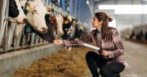 Stire din Economie : Solicitanţii eco-schemelor din sectorul zootehnic trebuie să depună deconturile justificative până la 31 ianuarie