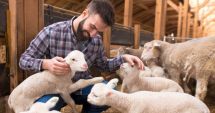 Stire din Economie : Deficit comercial, agricultură, infrastructură rutieră. INFO economic
