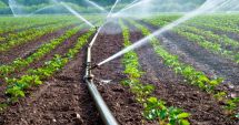 Stire din Economie : Asigurări, agricultură, energie. INFO economic