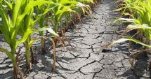 Stire din Economie : Firme, agricultură, producţie de cărbune. INFO economic
