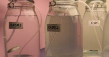Stire din Social : Teste de toxicitate realizate de specialiștii de la INCDM. Pesticidele sunt vizate