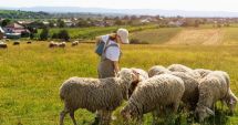 Stire din Economie : Banking, agricultură, sold credit neguvernamental. INFO economic