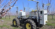 Stire din Economie : Insolvenţă, agricultură, rafinărie de aur. INFO economic