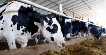 Stire din Economie : Deficit comercial, agricultură, energie. INFO economic